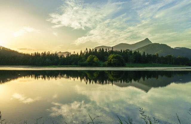 view of wollumbin mount warning from clarrie hall dam uki