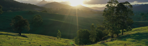 The Valley