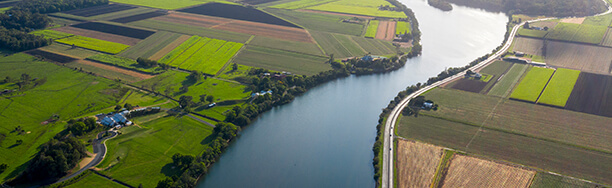 The River