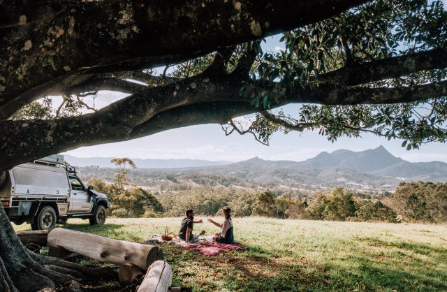 couple under tree with mountain in background