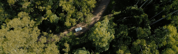 Hinterland Drives