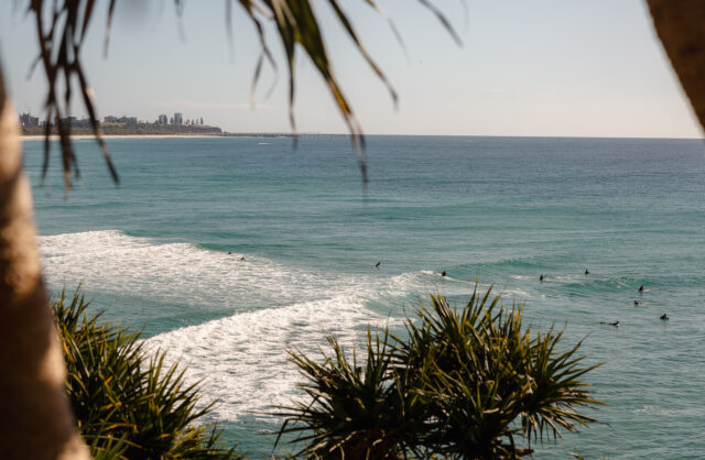 tweed coast beaches banner