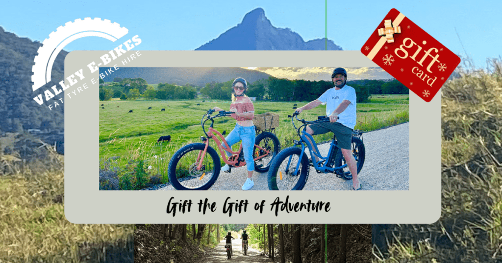 valley e bikes gift card