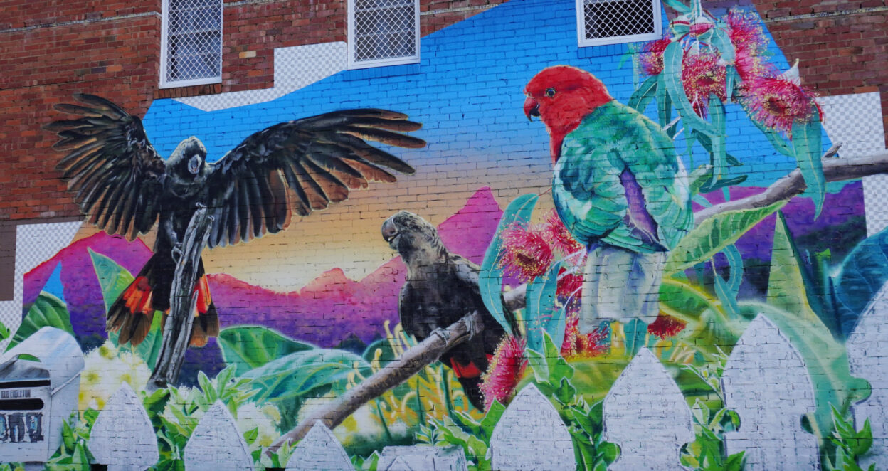 Gus Eagleton's work, In Your Backyard, a street art murals in Murwillumbah