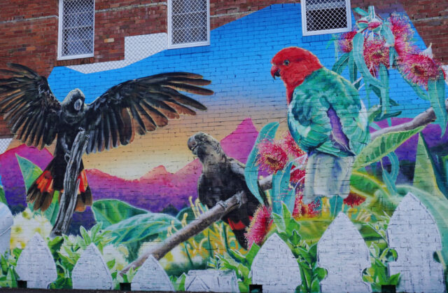 Gus Eagleton's work, In Your Backyard, a street art murals in Murwillumbah