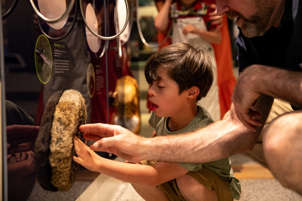 child with interactive exhibition at tweed regional museum