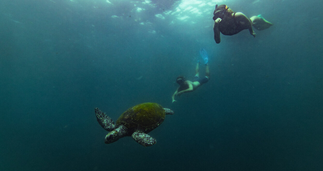couple on eco friendly outdoor activity in The Tweed, snorkelling at cook island nature