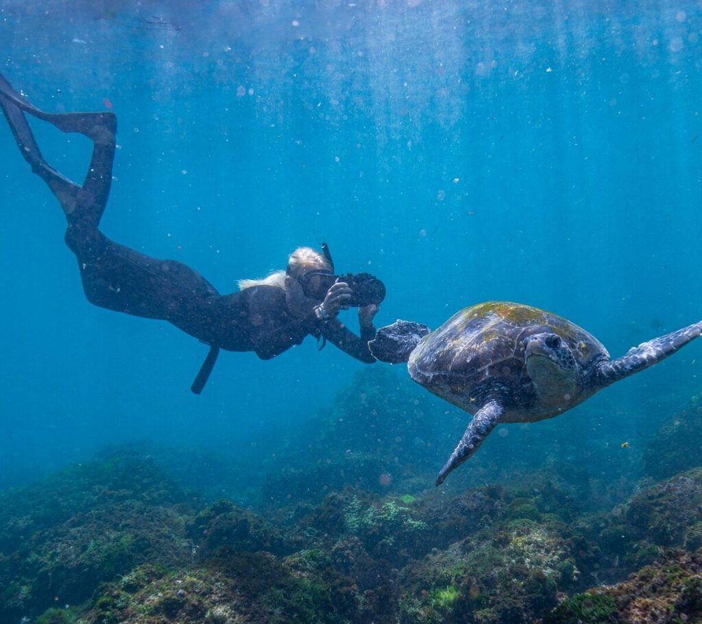 girls snorkels with turtles at Cook Island Nature Reserve