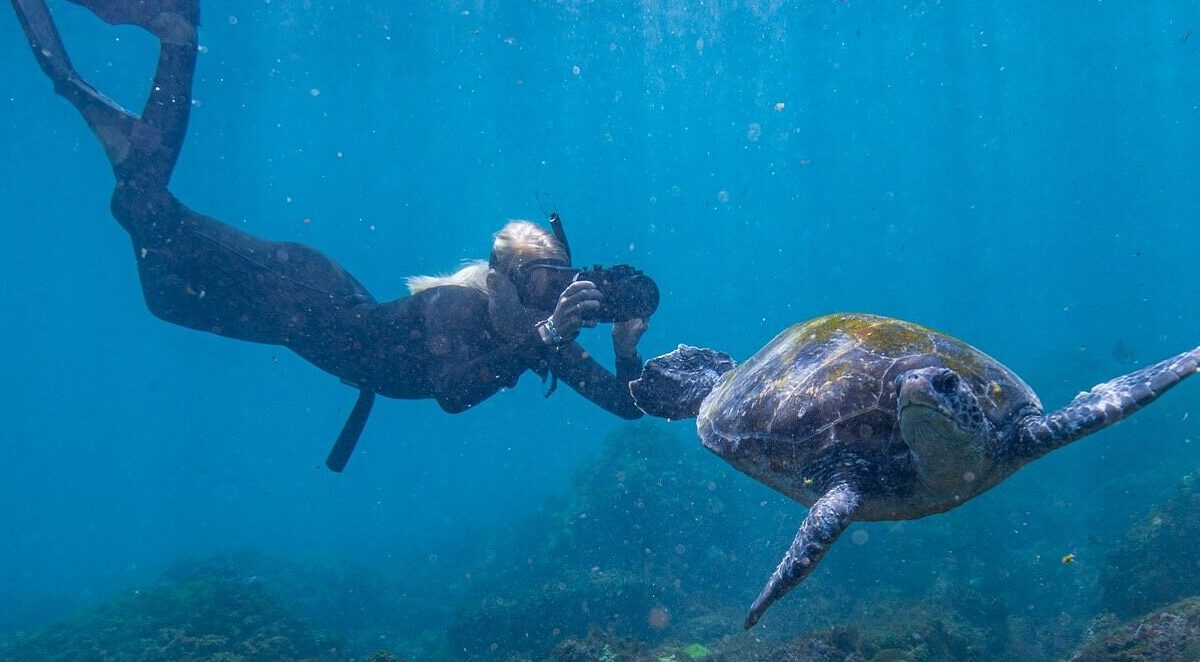 girls snorkels with turtles at Cook Island Nature Reserve on outdoor adventure