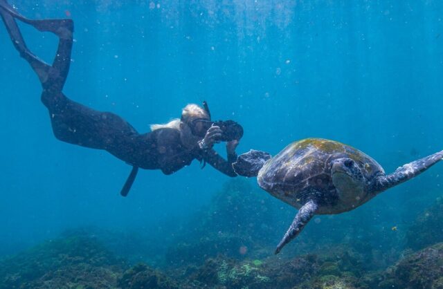 girls snorkels with turtles at Cook Island Nature Reserve on outdoor adventure