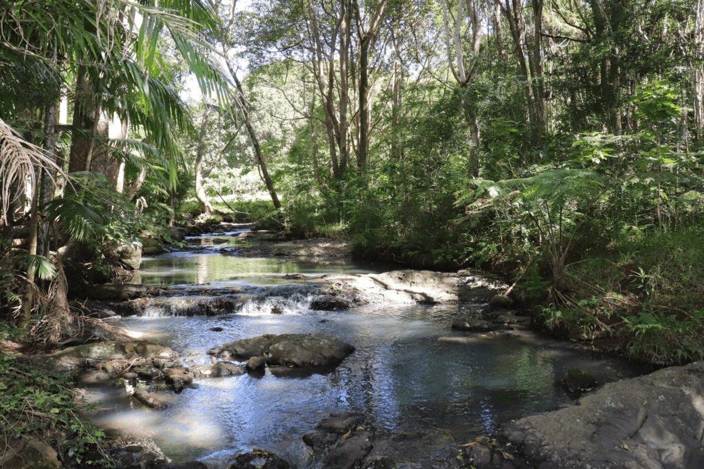 Tranquil creek and waterfall at your group getaway rural retreat