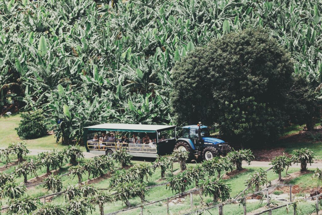 team building farm tour experience