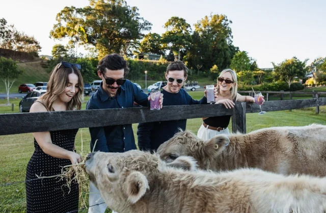 corporate group feeds cows at husk farm distillery